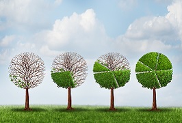 success-story-importante-istituto-bancario-crediti-non-performing.jpg