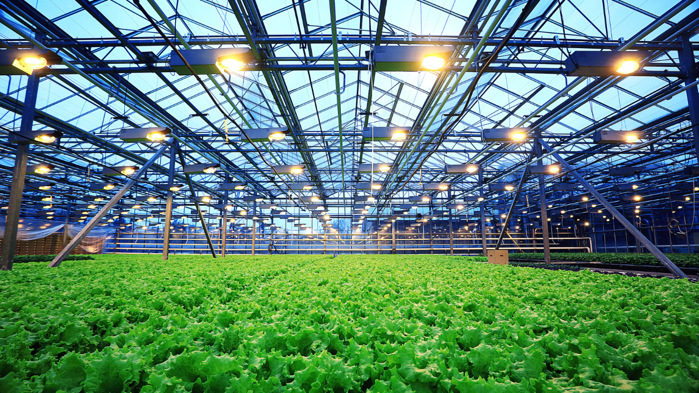 CRIF Academy Agribusiness Cooperativo E Sistema Finanziario