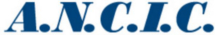 logo-ancic.jpg