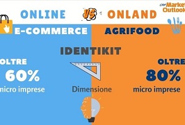 miniatura-online.JPG