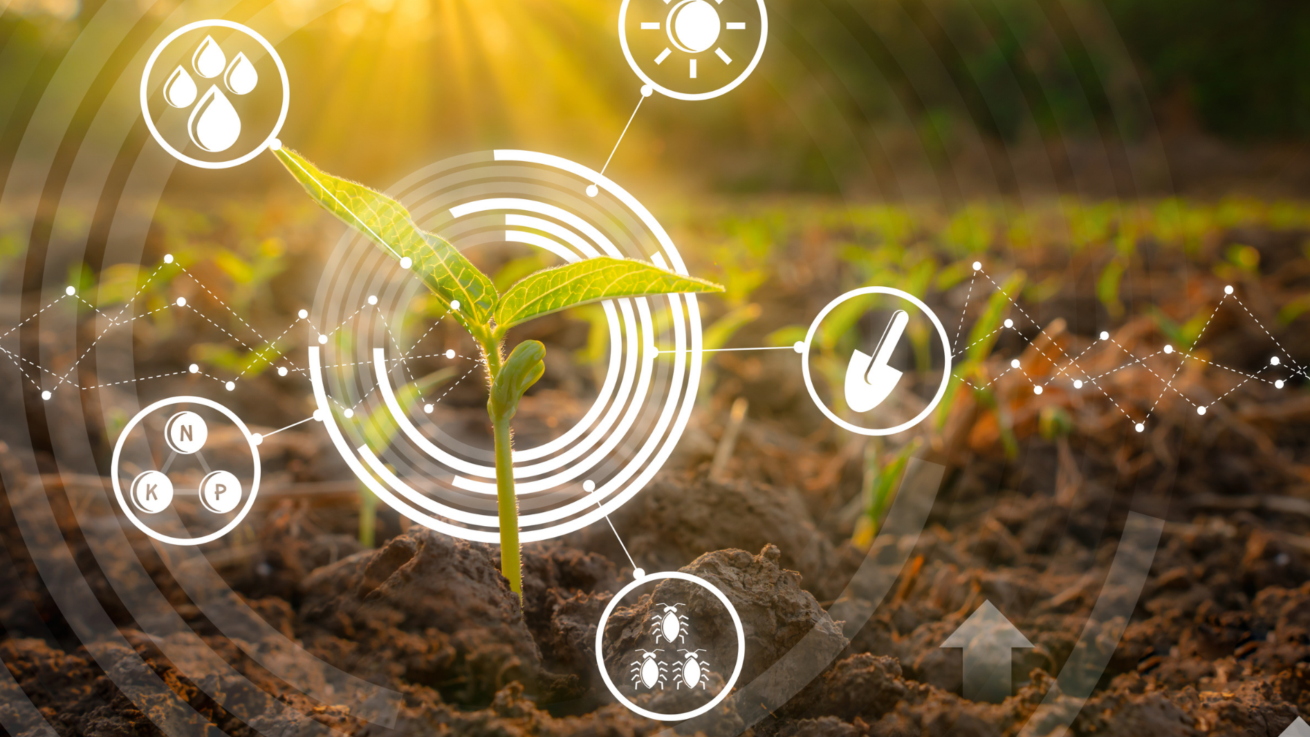 AgriTech & FoodTech.png