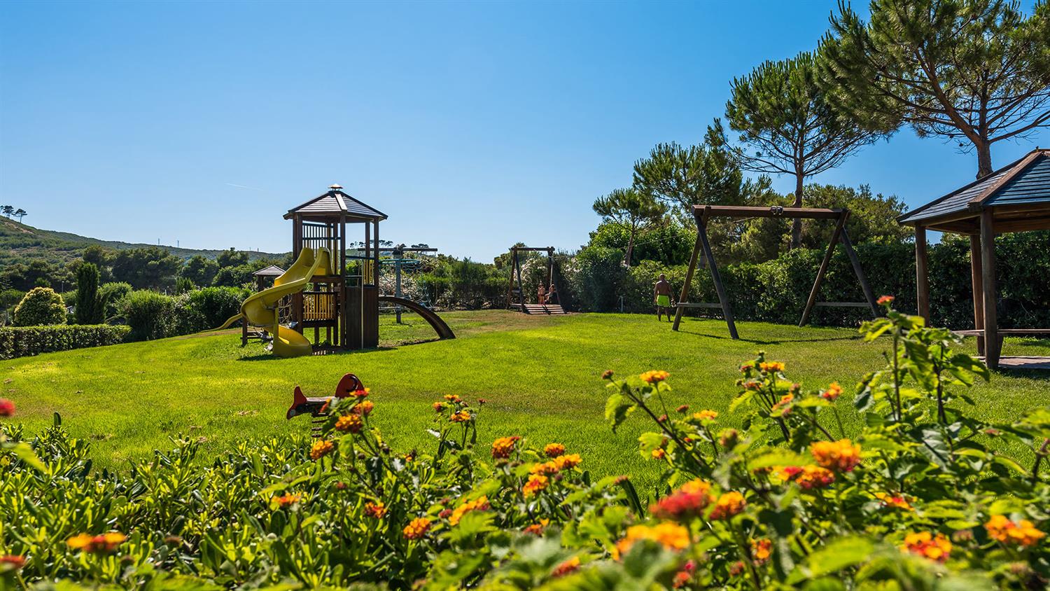 testo alternativo per l'immagine inserito - fiori