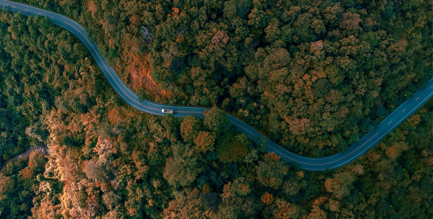 Sustainability Forest