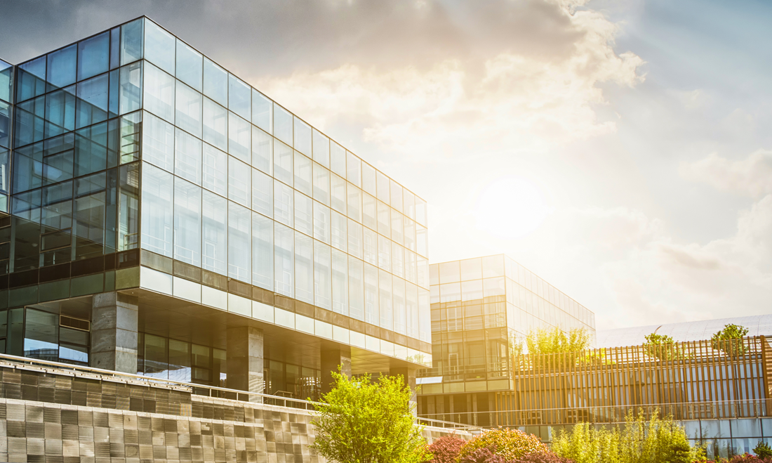 PMI progetto ViViBanca