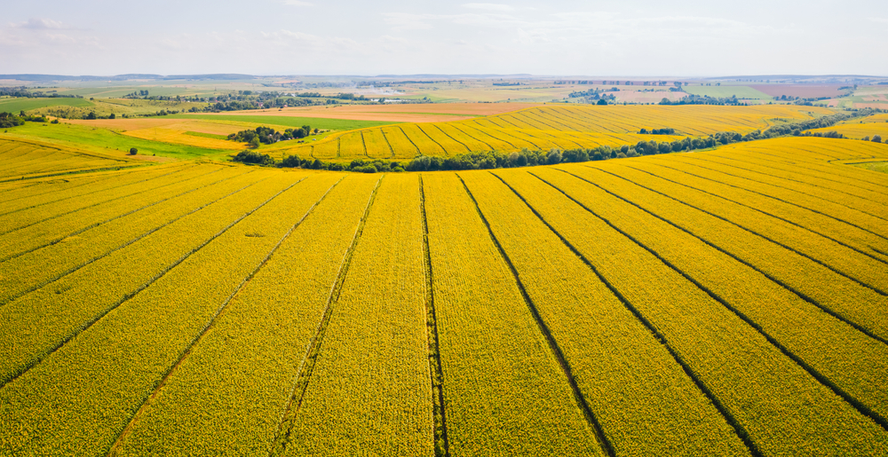 CRIF Osservatorio Imprese Agricole
